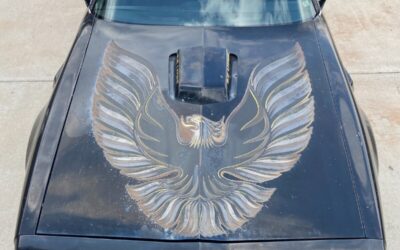 Pontiac Trans Am  1979 à vendre