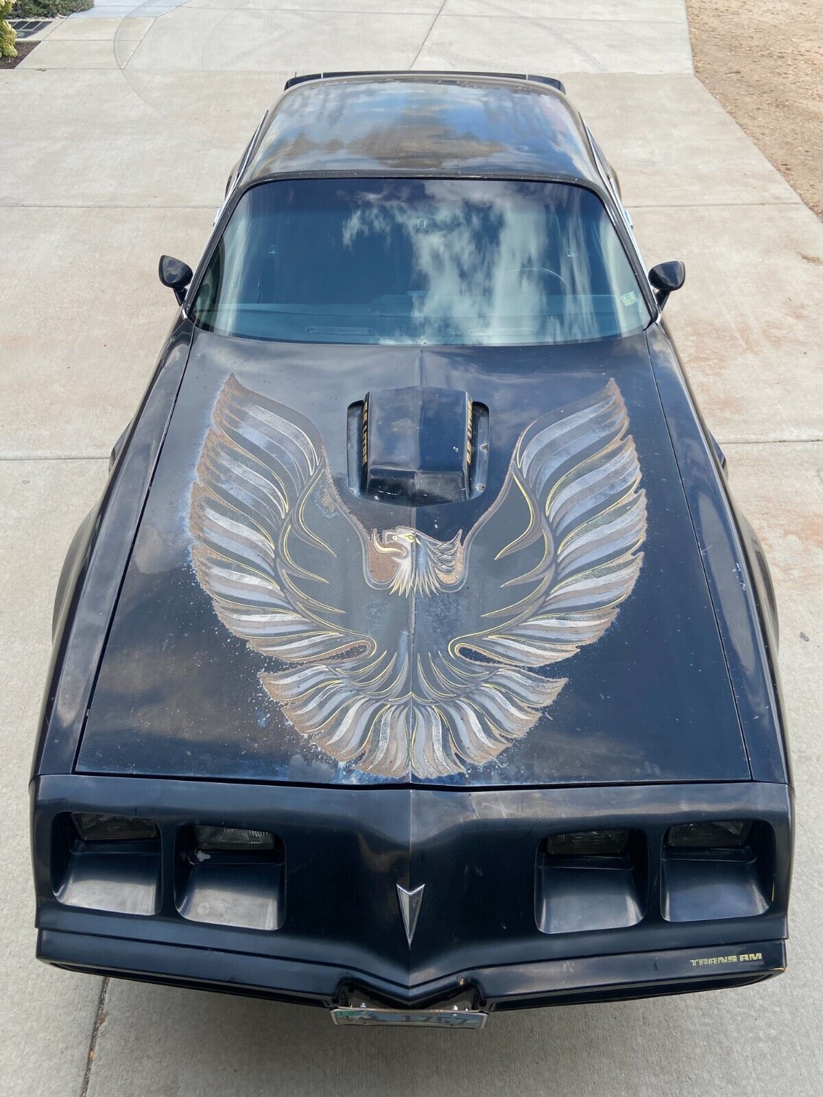 Pontiac Trans Am  1979 à vendre