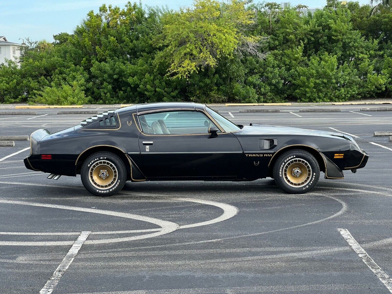 Pontiac Trans Am  1980