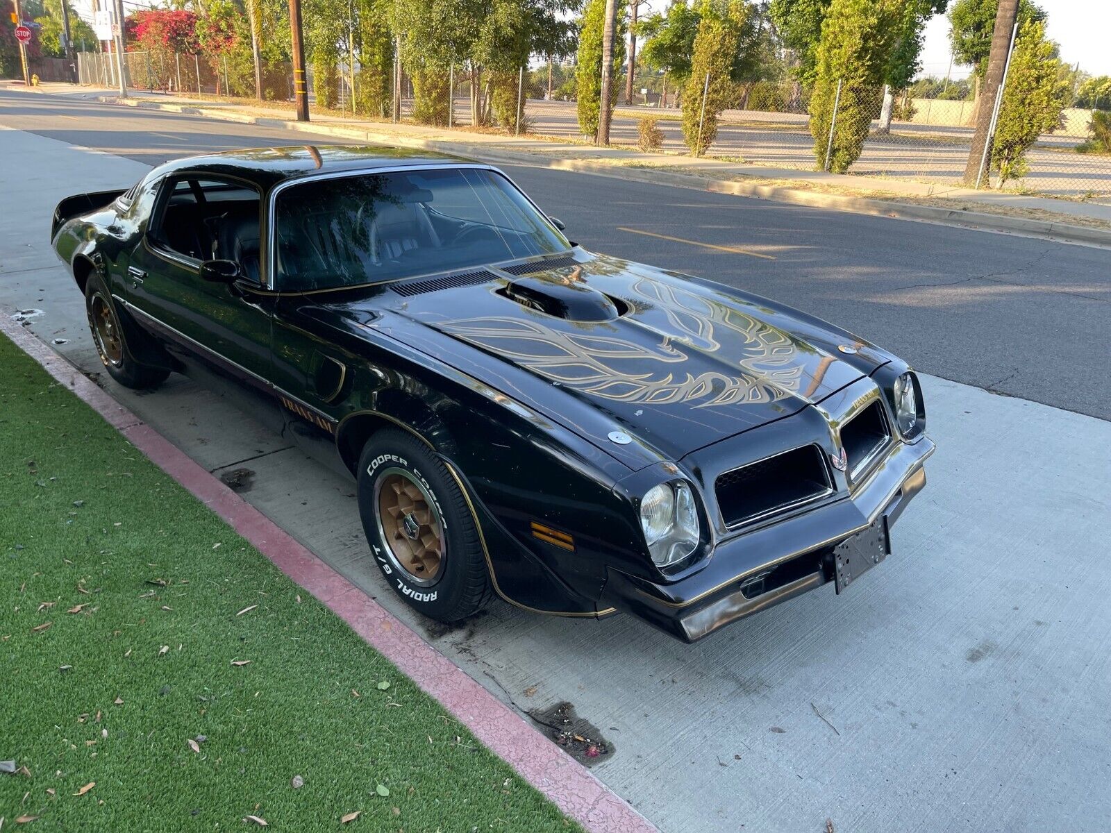 Pontiac-Trans-Am-Coupe-1976-1