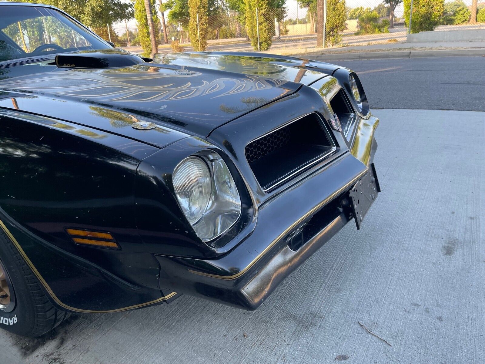 Pontiac-Trans-Am-Coupe-1976-12