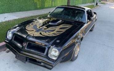 Pontiac-Trans-Am-Coupe-1976-14