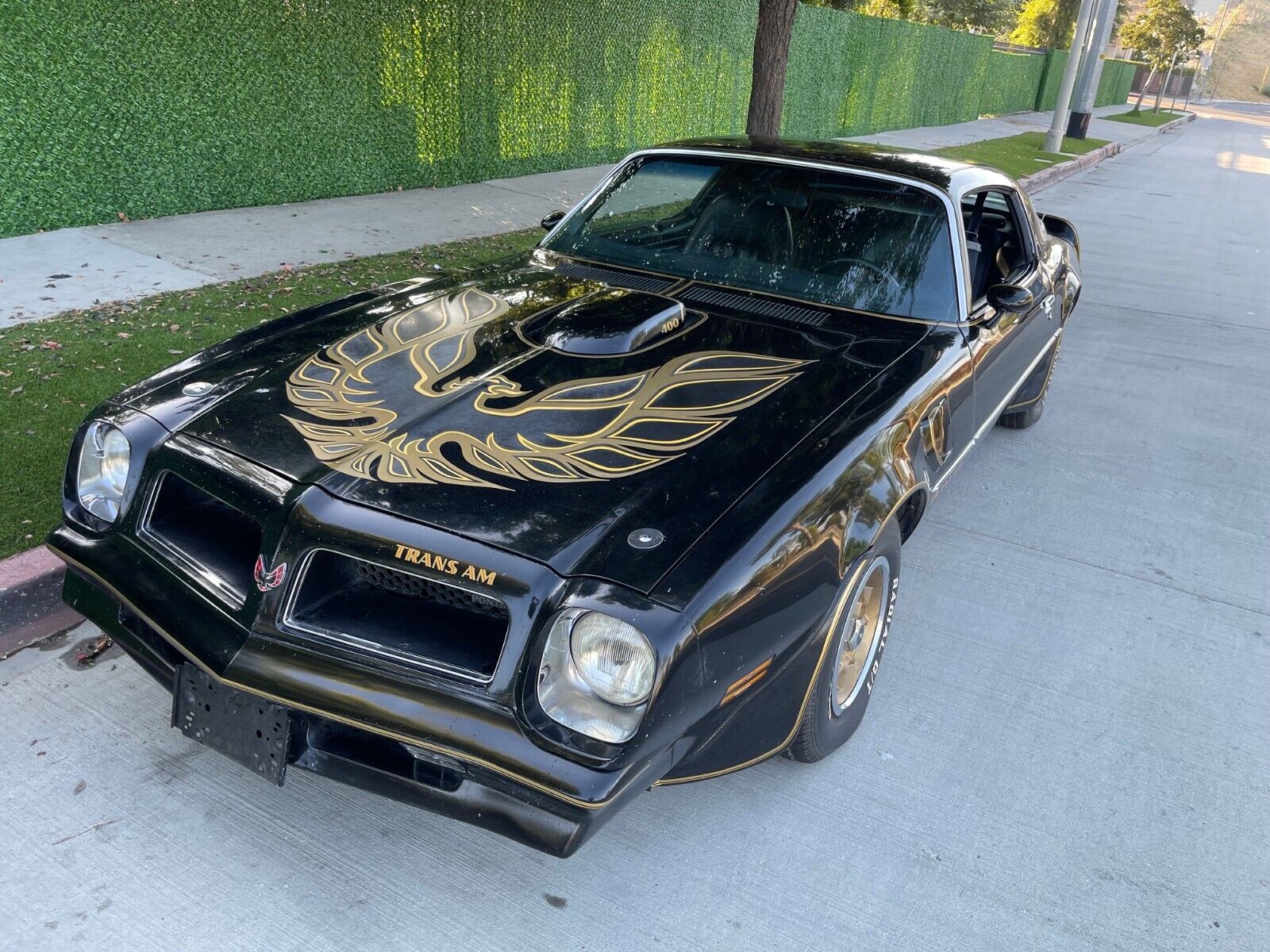 Pontiac-Trans-Am-Coupe-1976-14