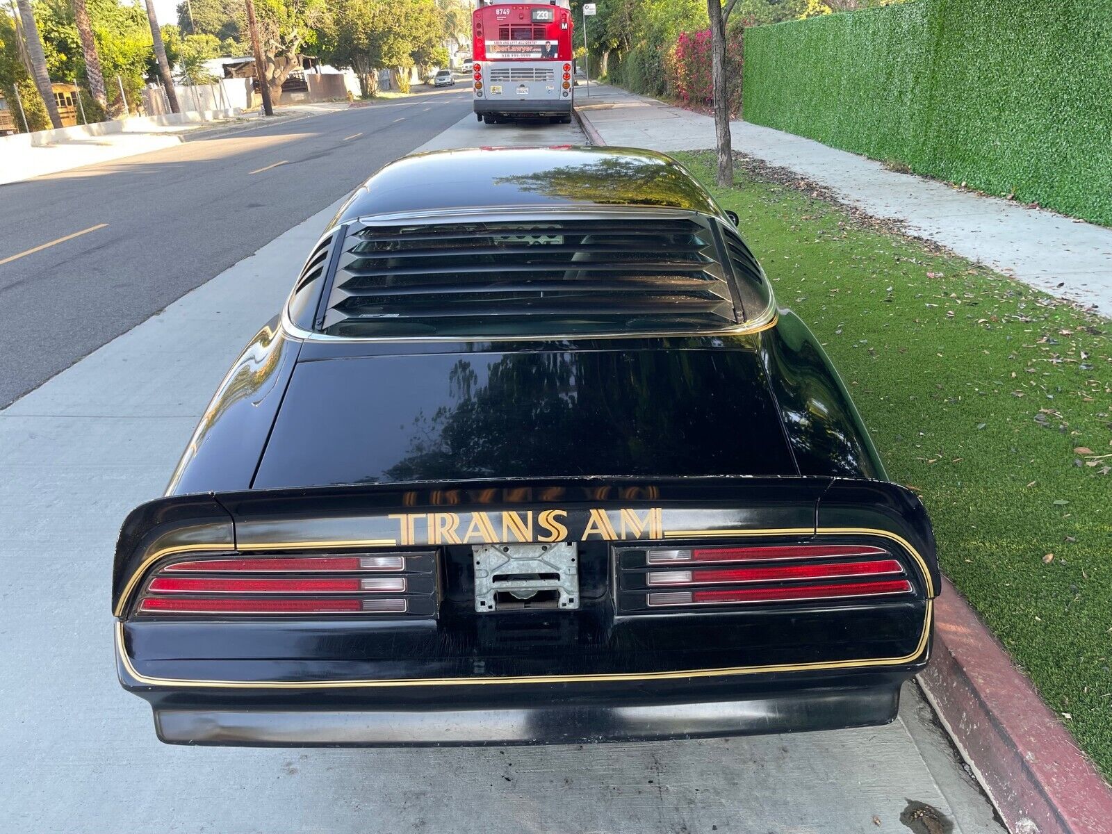 Pontiac-Trans-Am-Coupe-1976-15