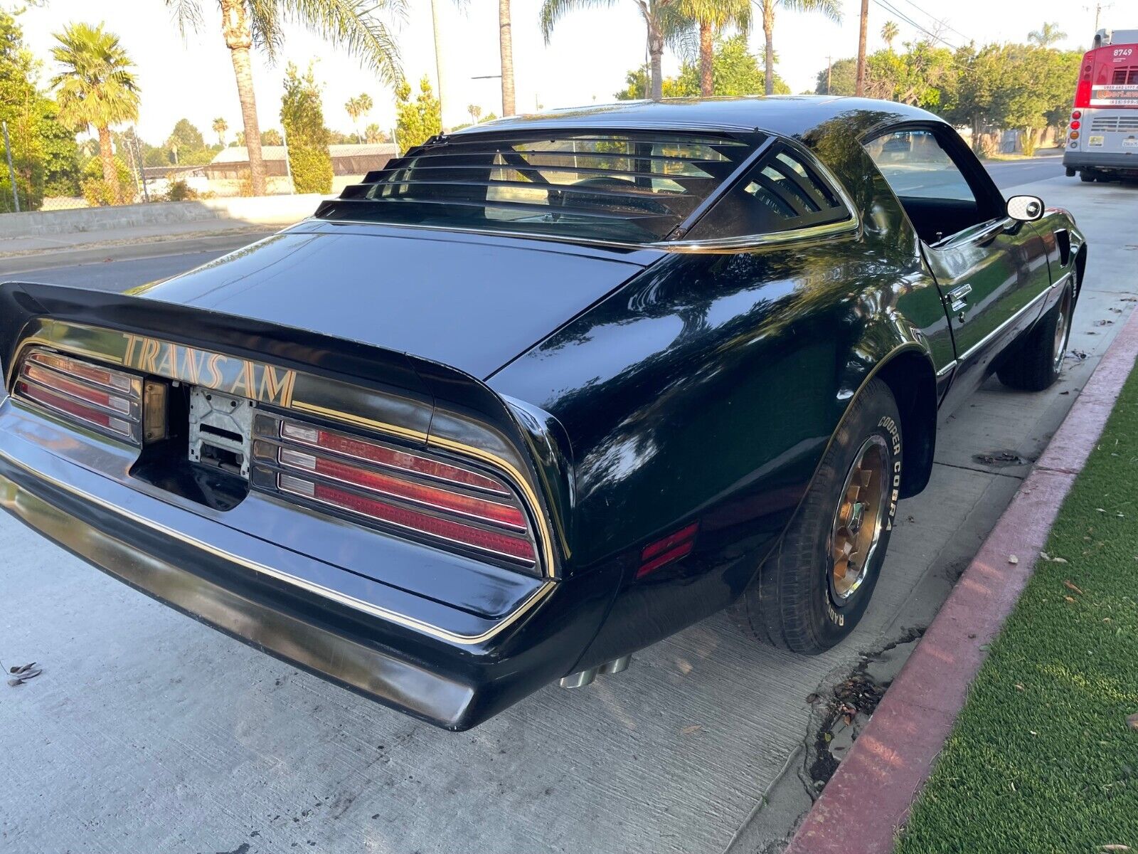 Pontiac-Trans-Am-Coupe-1976-16