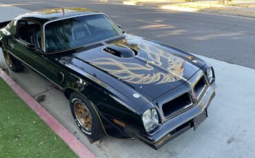 Pontiac-Trans-Am-Coupe-1976-18