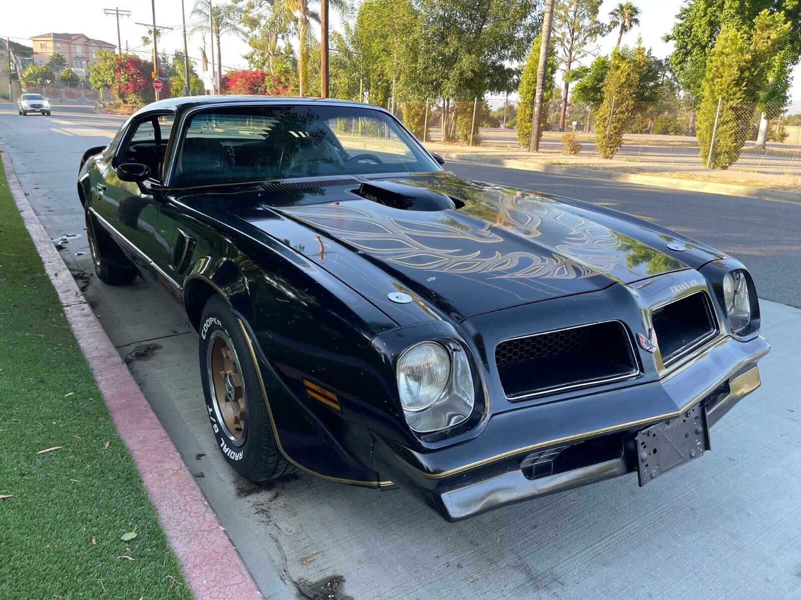 Pontiac-Trans-Am-Coupe-1976-19