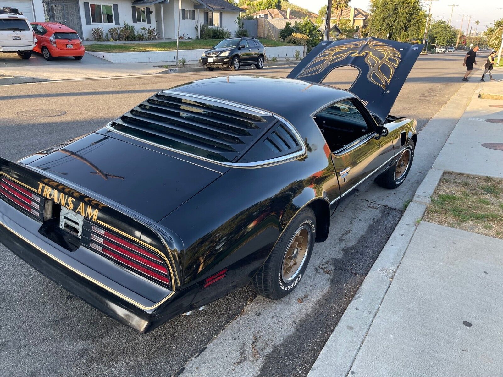 Pontiac-Trans-Am-Coupe-1976-23