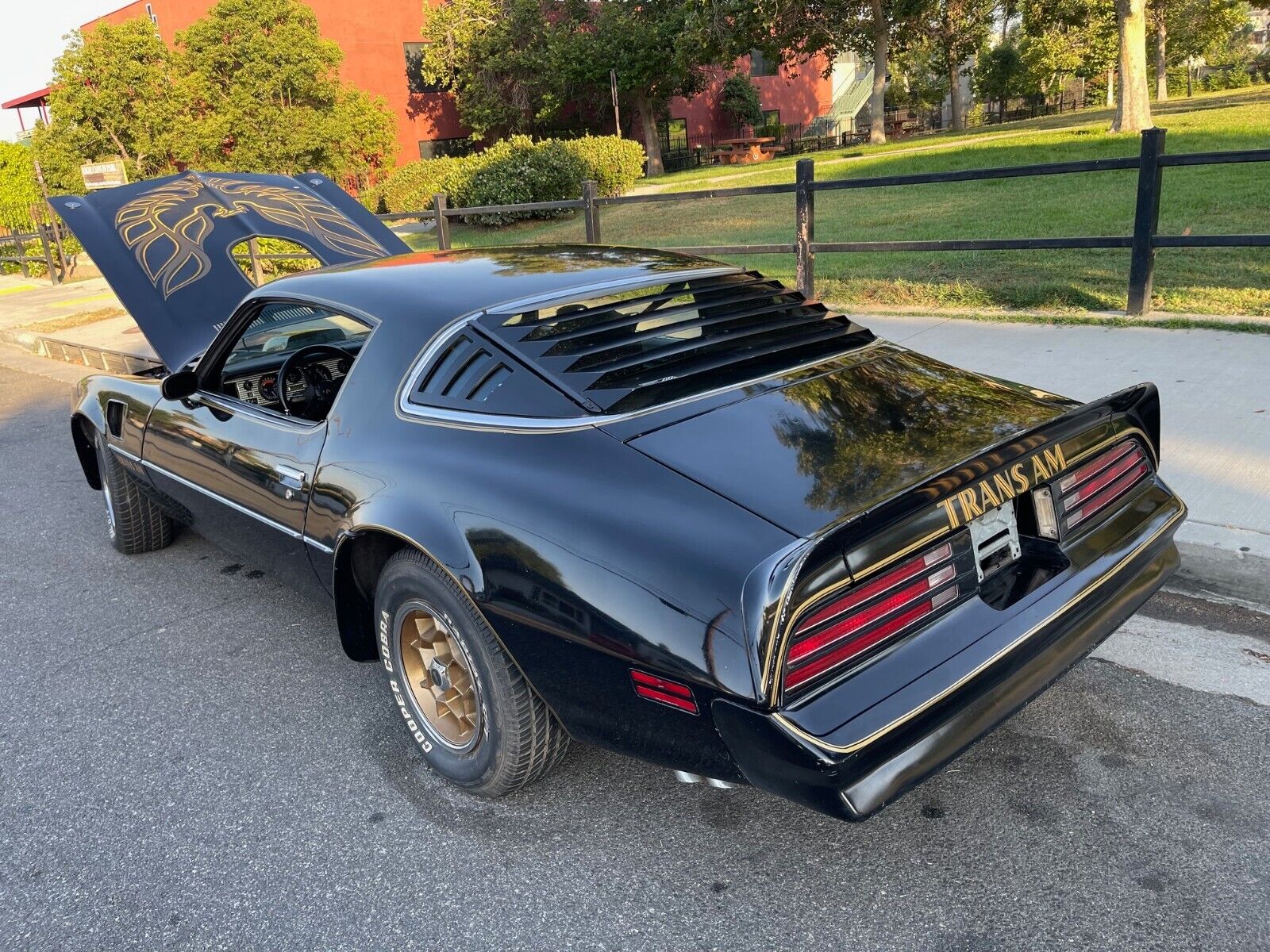 Pontiac-Trans-Am-Coupe-1976-24