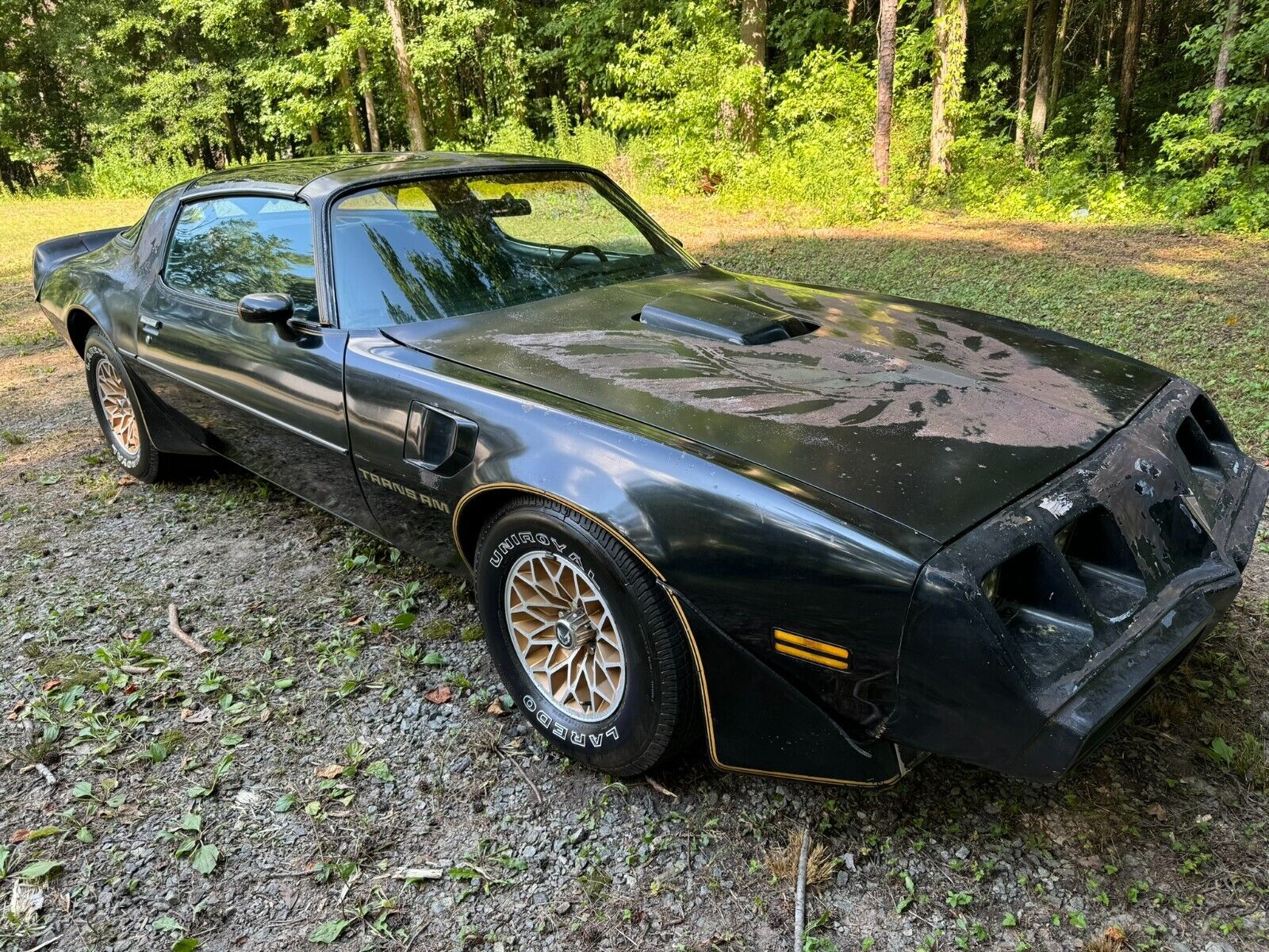 Pontiac Trans Am Coupe 1979 à vendre