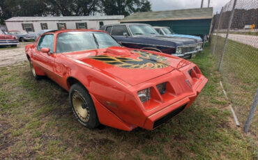 Pontiac Trans Am Coupe 1980