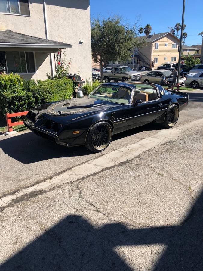 Pontiac-Trans-am-1981-2