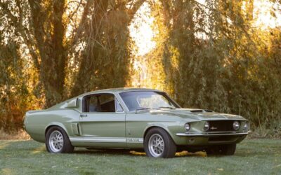 Shelby GT500 1967