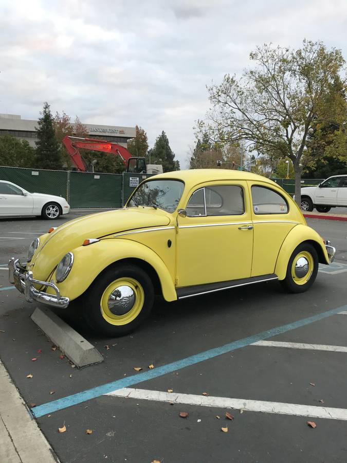 Volkswagen-Beetle-1963-1