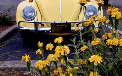 Volkswagen Beetle 1963