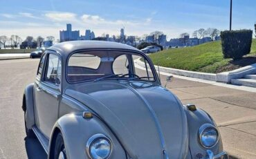 Volkswagen-Beetle-1967-1