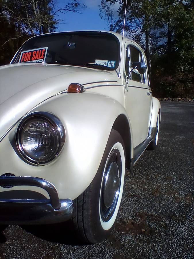 Volkswagen-Beetle-1967-11