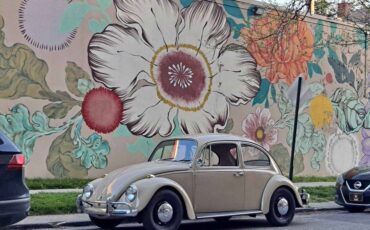 Volkswagen-Beetle-1967-4