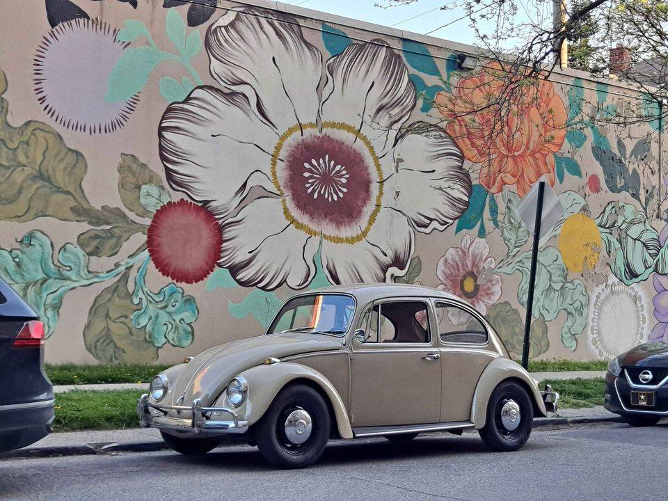 Volkswagen-Beetle-1967-4