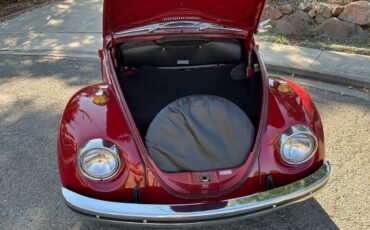 Volkswagen-Beetle-1969-3