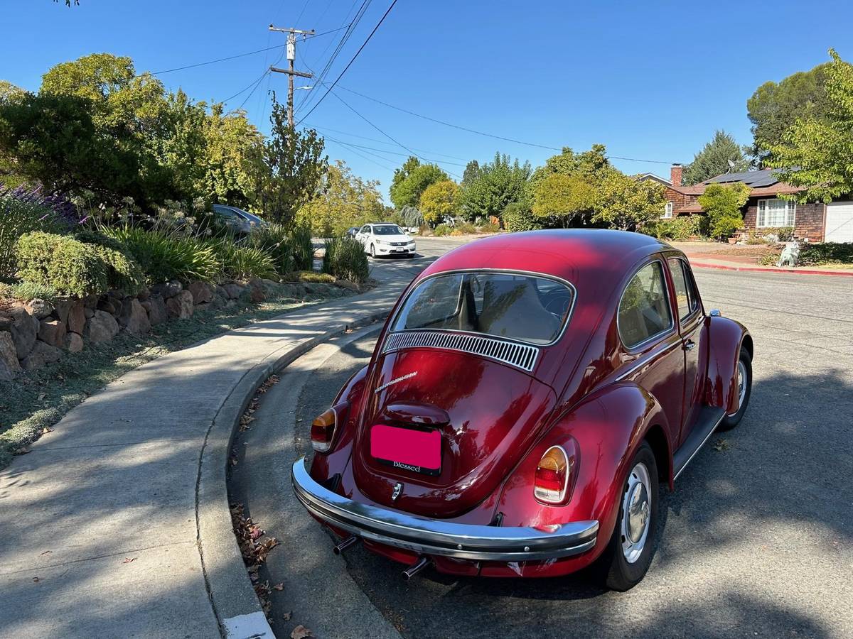 Volkswagen-Beetle-1969-5