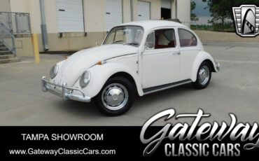 Volkswagen Beetle - Classic 1966