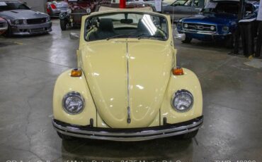 Volkswagen-Beetle-Classic-1970-10