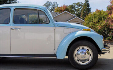 Volkswagen-Beetle-Classic-1972-10