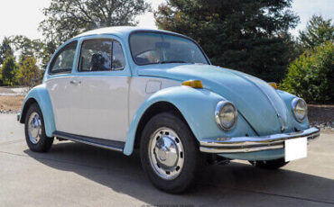 Volkswagen-Beetle-Classic-1972-11