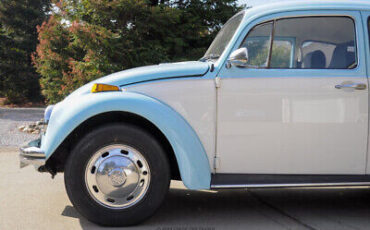 Volkswagen-Beetle-Classic-1972-3