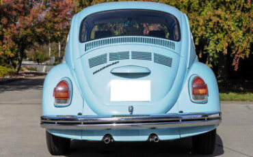 Volkswagen-Beetle-Classic-1972-6