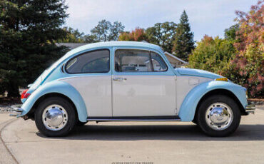 Volkswagen-Beetle-Classic-1972-8