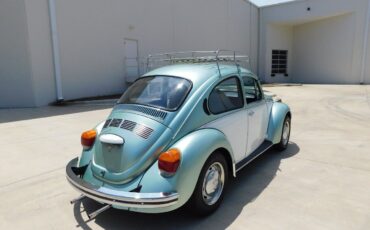 Volkswagen-Beetle-Classic-1973-10