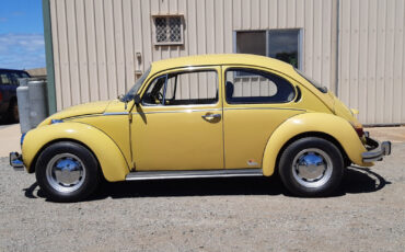 Volkswagen Beetle - Classic  year1}