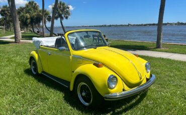 Volkswagen-Beetle-Classic-1973-3