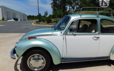 Volkswagen-Beetle-Classic-1973-5