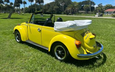 Volkswagen-Beetle-Classic-1973-7