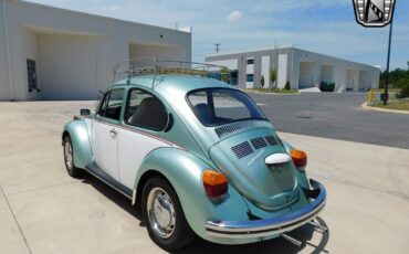 Volkswagen-Beetle-Classic-1973-8