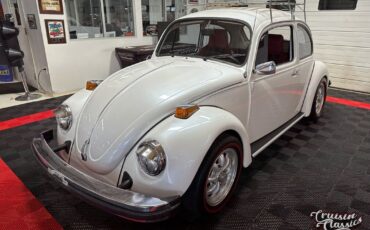 Volkswagen-Beetle-Classic-1974-4