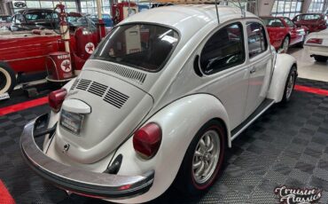 Volkswagen-Beetle-Classic-1974-8