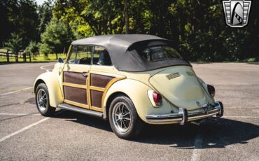 Volkswagen-Beetle-Classic-Cabriolet-1969-10