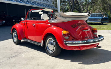 Volkswagen-Beetle-Classic-Cabriolet-1979-6