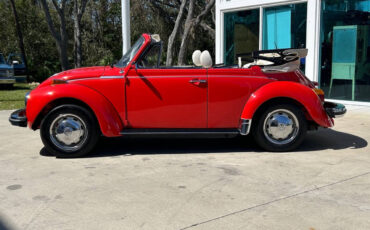 Volkswagen-Beetle-Classic-Cabriolet-1979-7