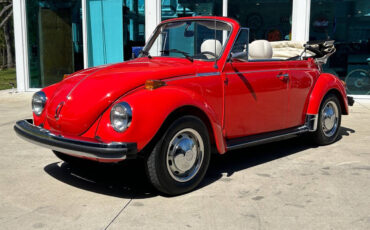 Volkswagen-Beetle-Classic-Cabriolet-1979-8