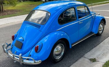 Volkswagen-Beetle-Classic-Coupe-1965-1