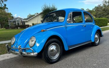 Volkswagen-Beetle-Classic-Coupe-1965-15