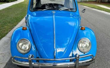 Volkswagen-Beetle-Classic-Coupe-1965-17