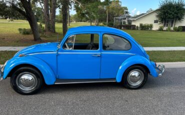 Volkswagen-Beetle-Classic-Coupe-1965-2