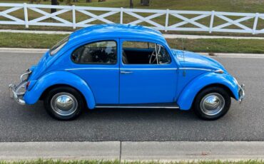 Volkswagen-Beetle-Classic-Coupe-1965-26