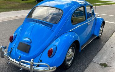 Volkswagen-Beetle-Classic-Coupe-1965-31